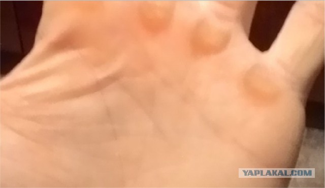 Исследую Хиромантию (Часть 2, спустя год)