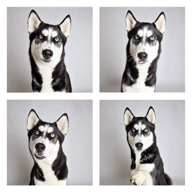 Картиночки из этих...ваших.....