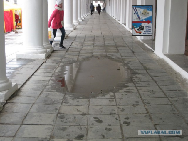 Потемкинские березки