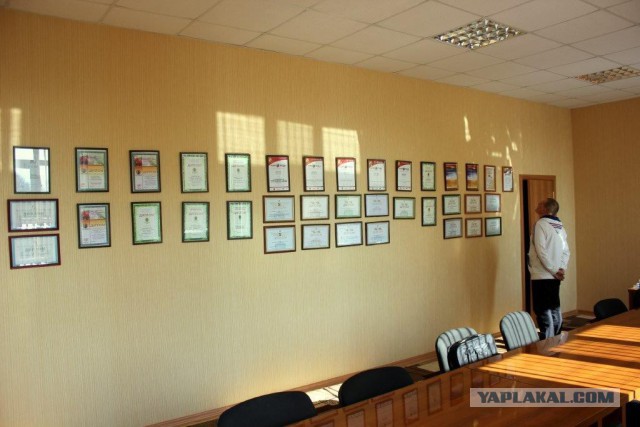 Сельскохозяйственный эксперимент ч. 7