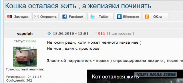 Кошка скрылась с места преступления