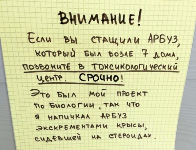 16 записок от людей, которые обожают своих соседей