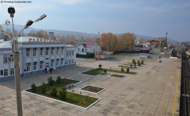 каталог Сковородино