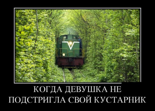 Подборка интересных и веселых картинок