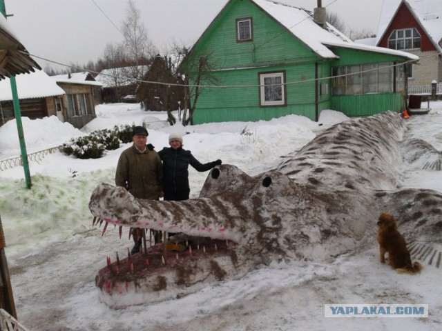 Опасная находка в сливной трубе во Флориде
