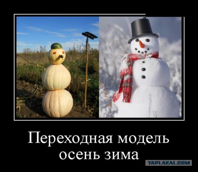 Баяны в чёрных рамках