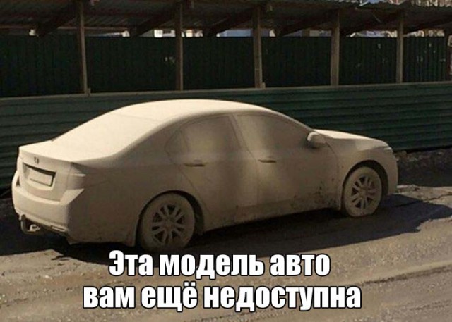 Подборка безудержного веселья