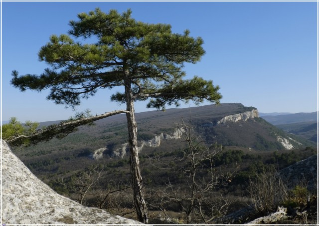 Вдоль сельской околицы. Крымография