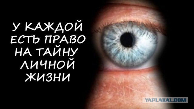 ФСБ: Telegram использовали террористы перед взрывом в метро Санкт-Петербурга