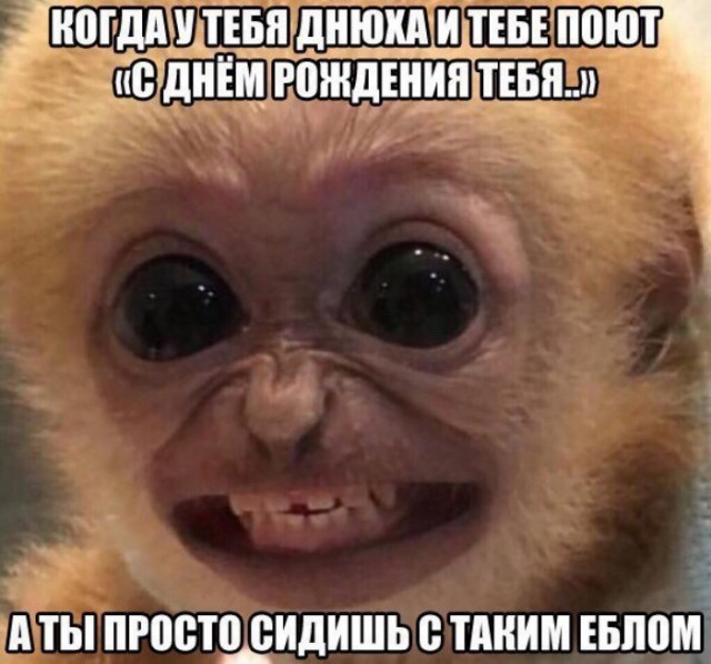 Приколы в стиле "регресс"