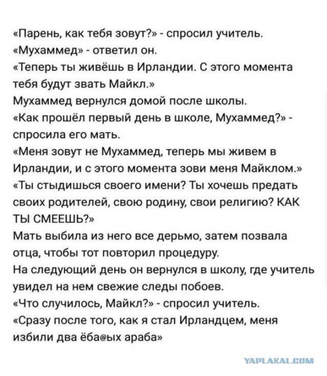 Почему бы не подеградировать, коллеги?
