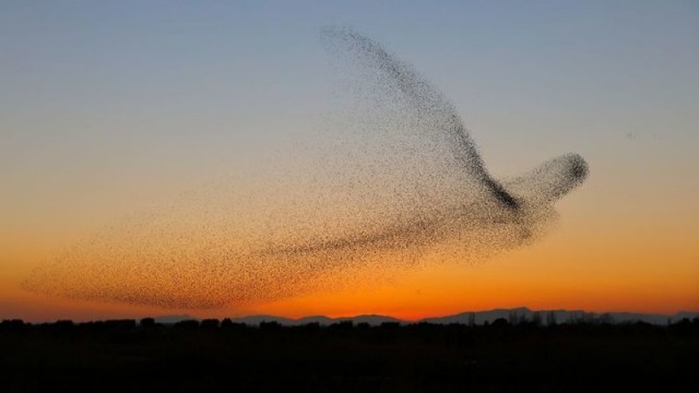 Фотограф не сразу понял, что сделал совершенно уникальный снимок