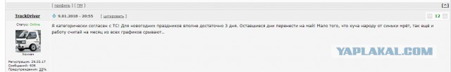 Онищенко предложил сократить новогодние каникулы до 2 января
