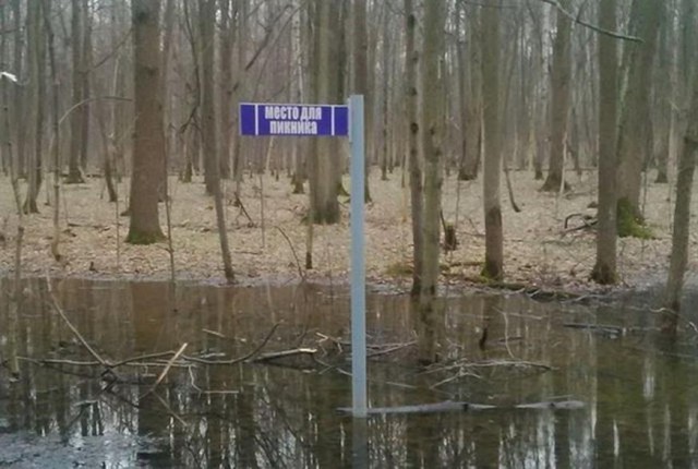 Картинки по-приколу