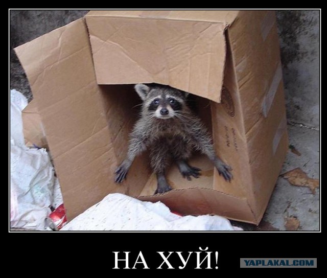 Надя, Нахир? Огромная силиконовая грудь жутко мешает девушке, но она сделает ее еще больше