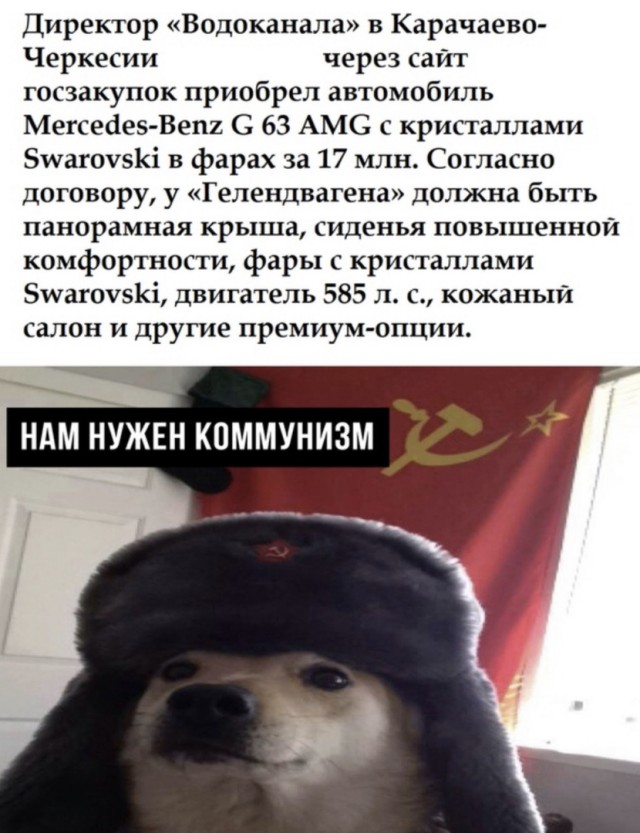 Думал 16