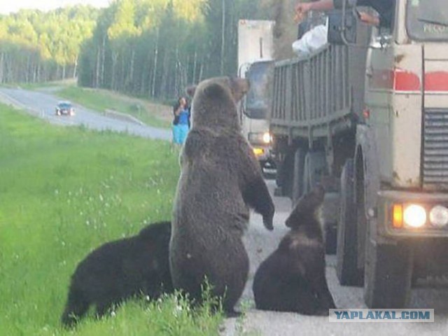 Удивительные снимки с российских просторов