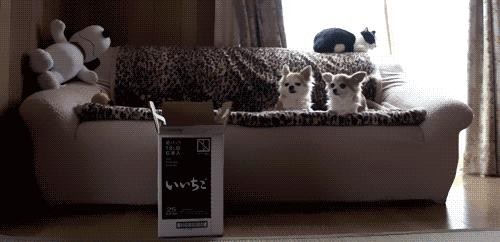 Довыпендривался перед дамами..