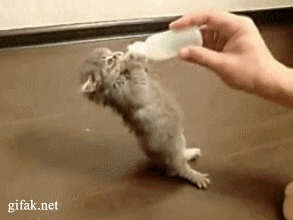 Вкуснятина - не оторваться просто!