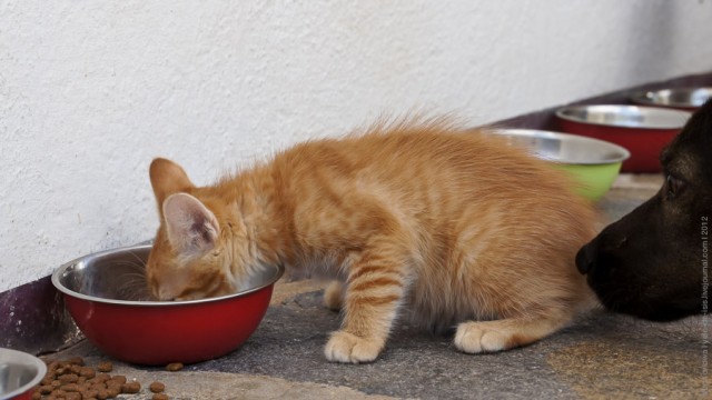 Один мой день. Самый первый!