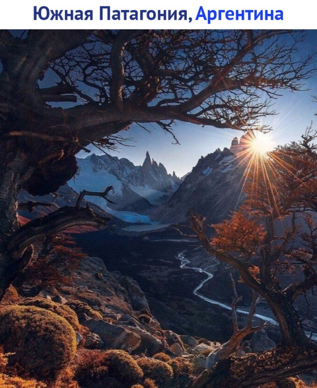 Картинки