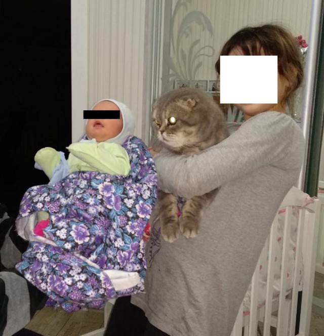 Почему НЕ стоит покупать котят у заводчиков