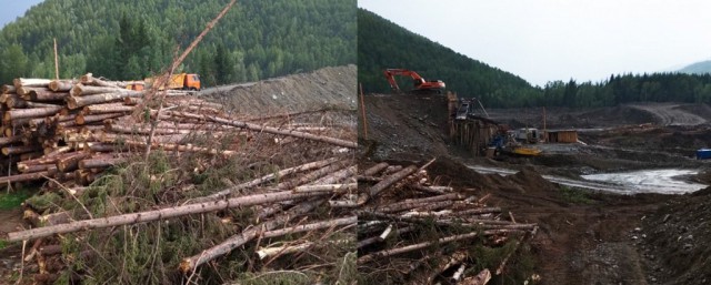 Глава лесного хозяйства Бурятии отдал под вырубку лес рядом с Байкалом