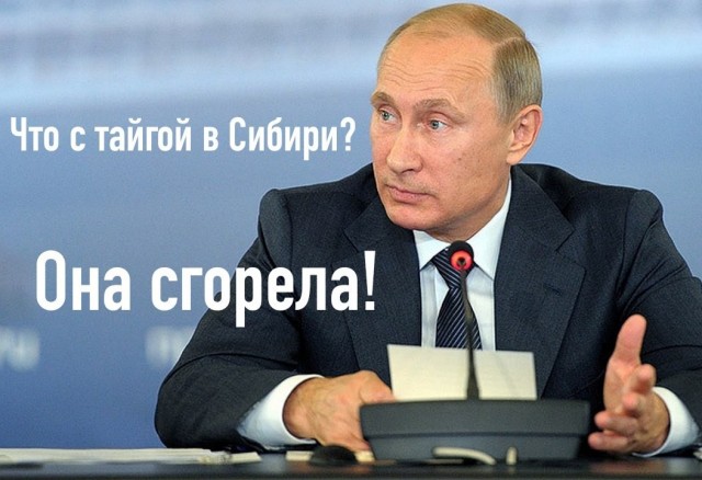 Блокировка лесовозов на Дальнем Востоке