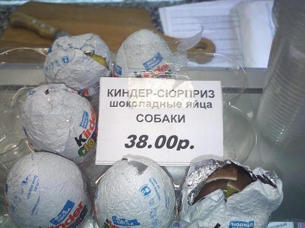 Шоколадные яйца четвероногого друга