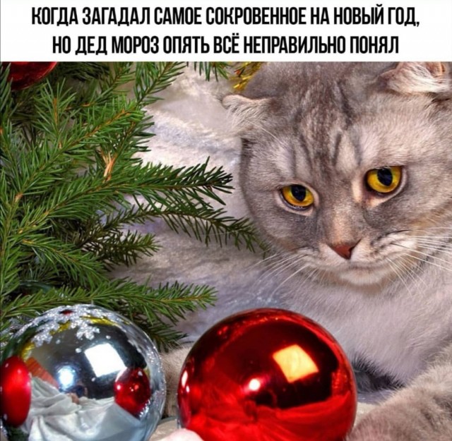 Немного картинок для настроения 04.01.20