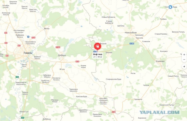В Белоруссии заявили, что будут покупать нефть у России по мировым ценам 