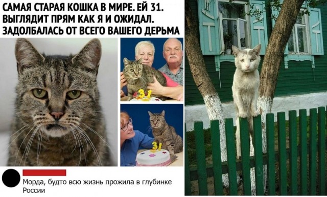 Чуток картинок. Ночные 6