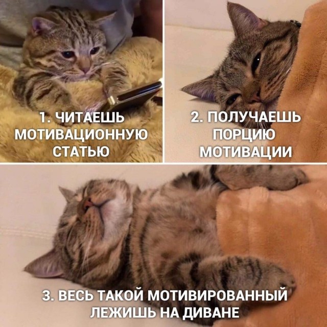 Так себе картинки 26.06.20