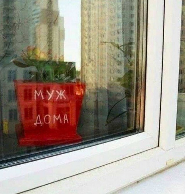 Юмор в картинках