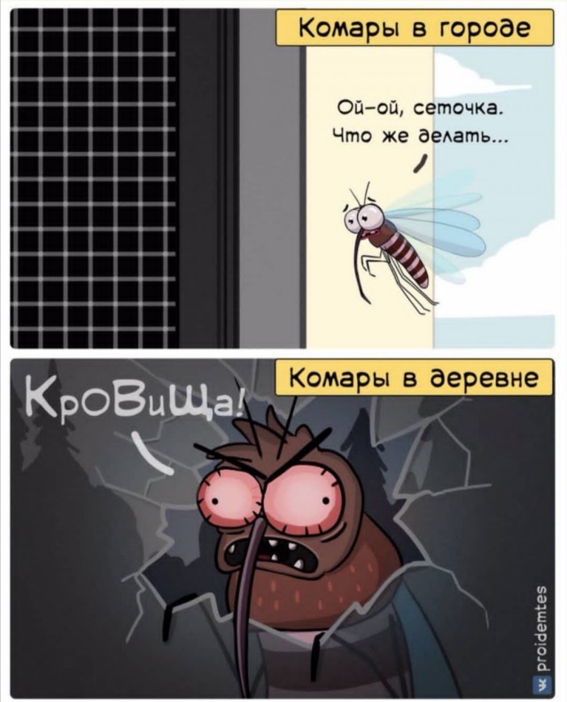 Немного картинок для настроения 21.07.20