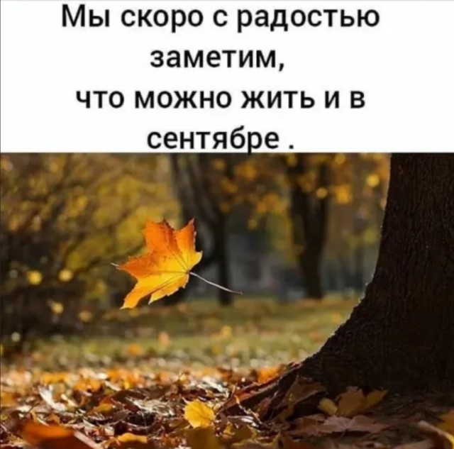 Бредзона 29.08.20