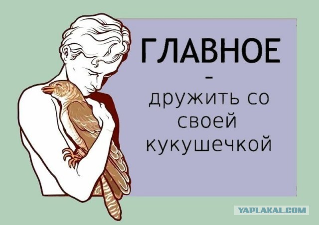 Москвич в бюстгальтере вылетел из окна верхом на велосипеде