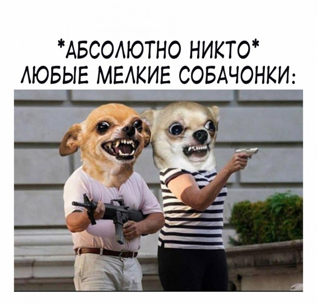 Эй вы, давно не деградировали?!