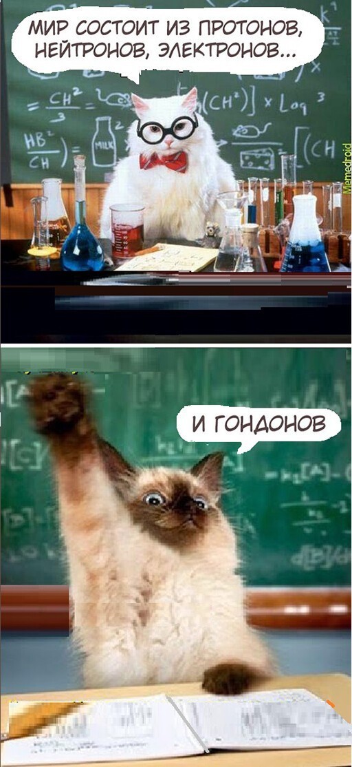 Баянисто-небаянистый юмор 15.02.21