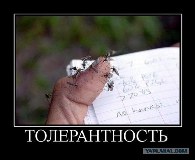 Те самые знаменитые курсы антирасизма, которые обязательны для белых