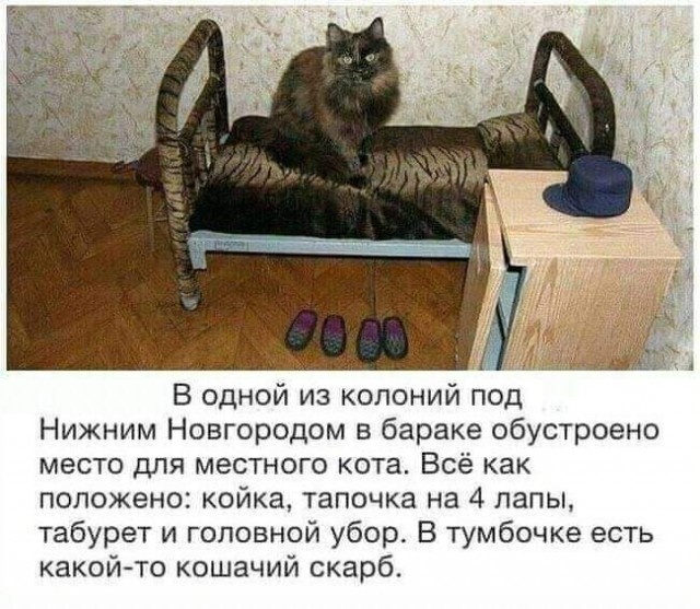 Так себе картинки 30.05.21