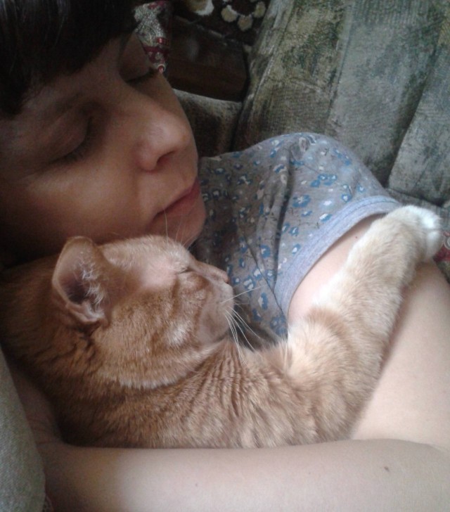 Хоба! Котовторник!