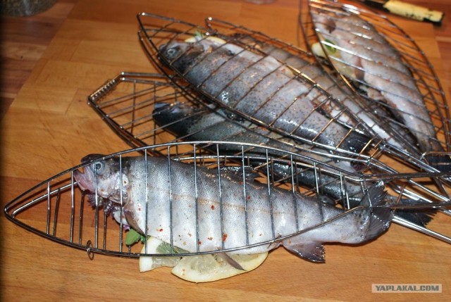 Пятничные посиделки на теплотрассе ©