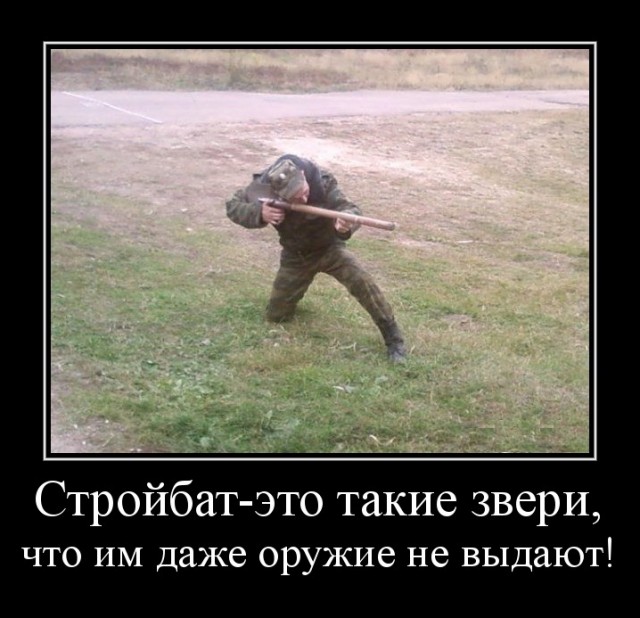 Путин не сказал Шойгу главное!
