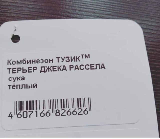 Весёлый полтишок 11.11