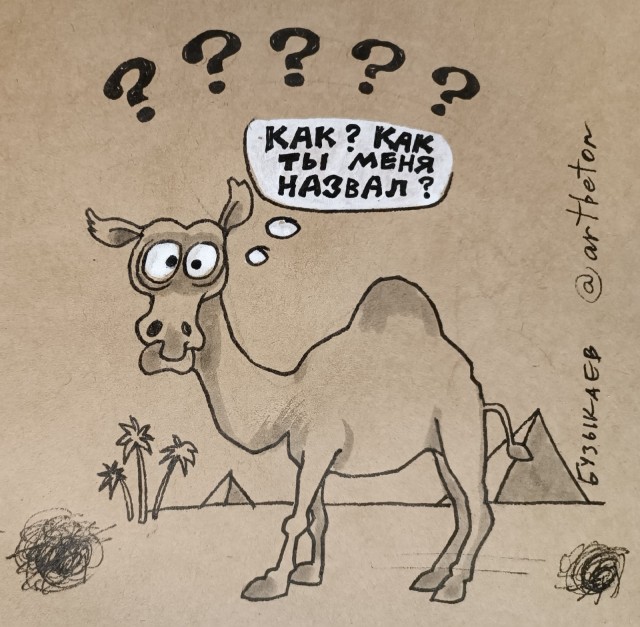 Свежее от Ёлкина