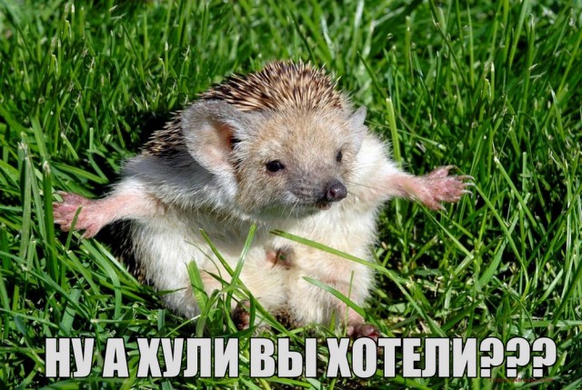 Три брата из столицы Дагестана обнюхались мефедрона в гостинице