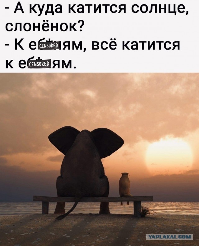 Главные проблемы современных мужчин РФ