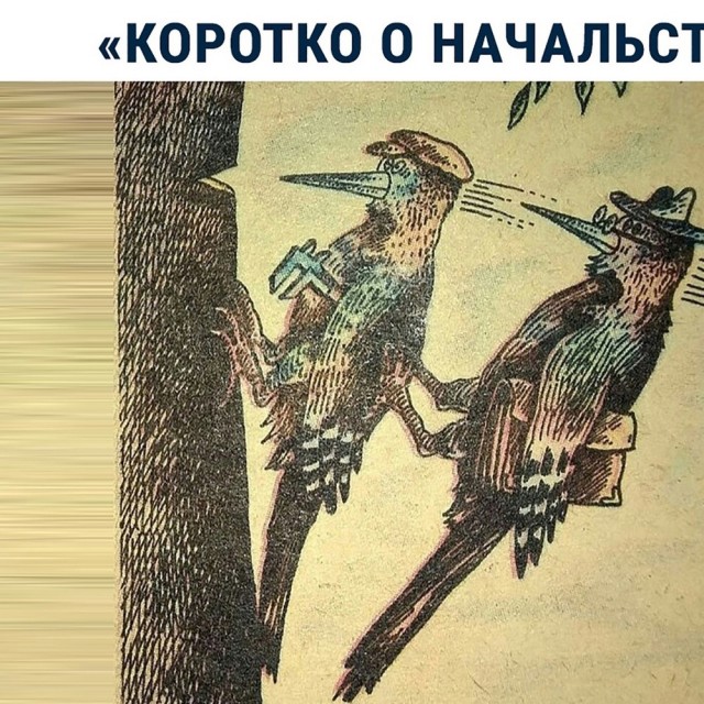 Так себе картинки 28.04.22