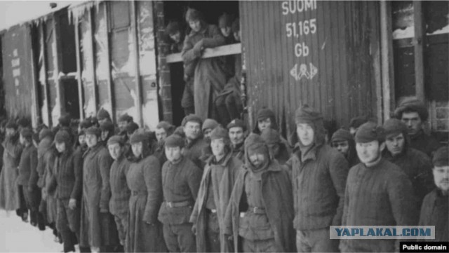 Западная и советская пропаганда во время войны Финляндии и России